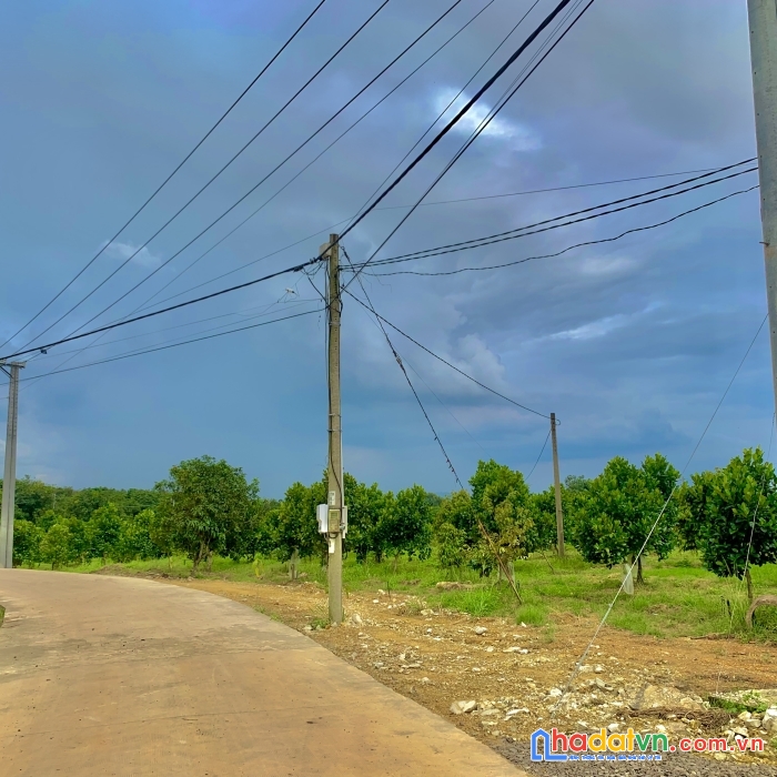Đất nghỉ dưỡng tại đồng nai giá hơn 1 tỷ liên hệ 0935166466