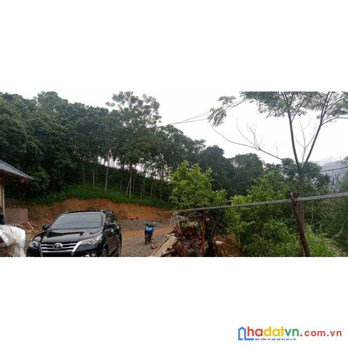 Diện tích 4.5ha, trong đó có 400m2 đất ở, 1ha đất vườn, còn lại là đất rsx liền thổ ( pháp lý rõ