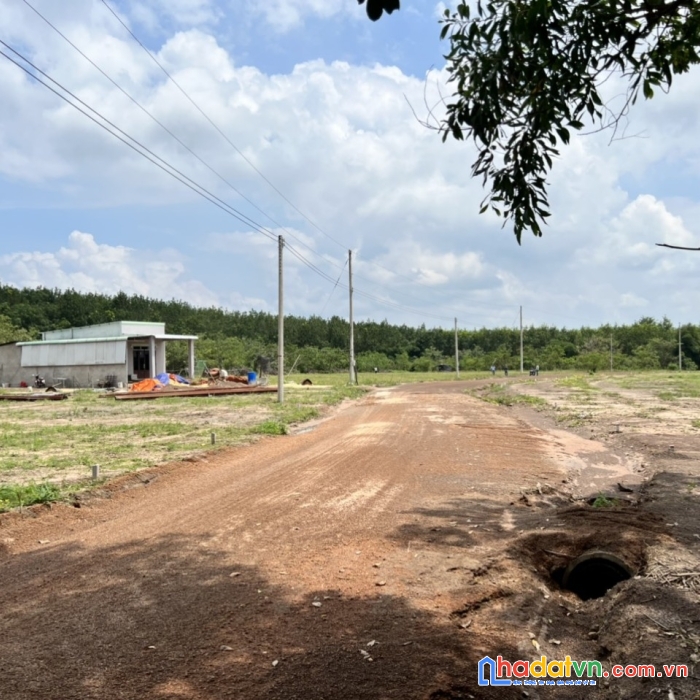 Cần bán gấp 2 lô đất nền xã lộc thịnh - lộc ninh - bình phước