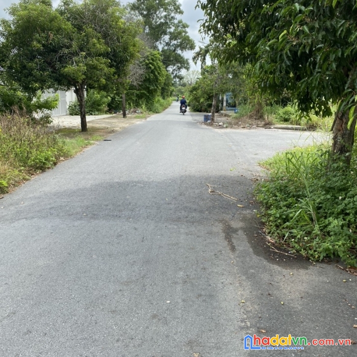 Bán gấp 105m2 full thổ đất tân thông hội, củ chi