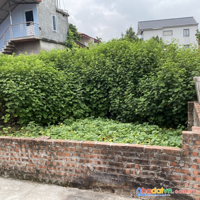 Gia đình cần bán gấp mảnh đất 89m2 xóm gà - cổ loa - đông anh.