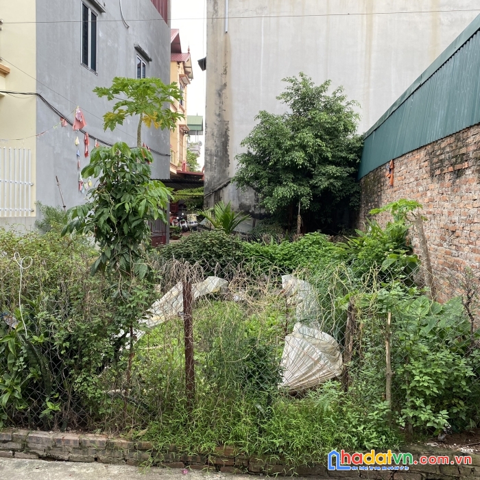 Lô góc 60.4m2 đất lễ pháp - tiên dương - đông anh đường 4.5m.