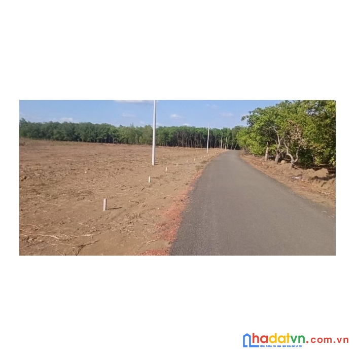 Bán đất ngay kcn becamex đồng phú sổ sẵn giá đầu tư. 1000m giá 730 triệu