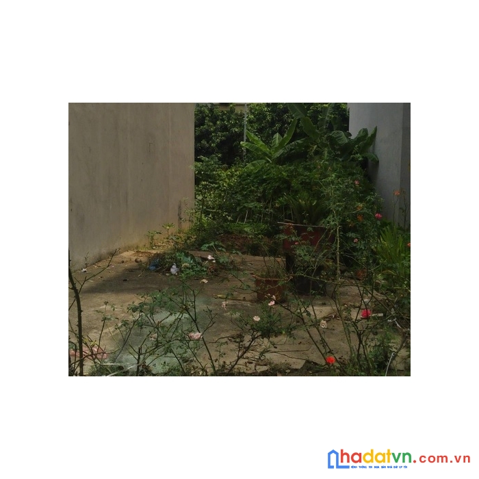 Bán đất cực đẹp hà trì 1, 50m2, mặt tiền 3.8m, giá 3.65 tỷ