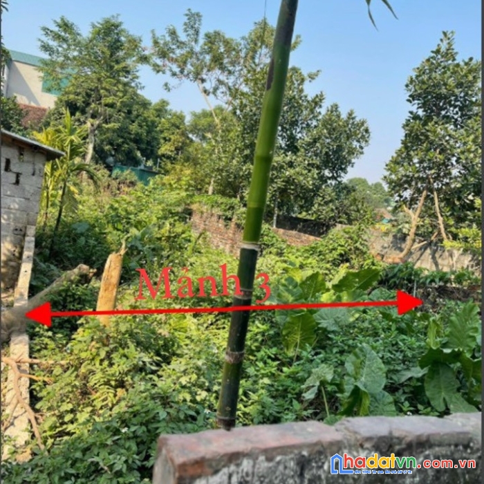 Chính chủ (không trung gian) cần bán gấp mảnh đất gần đê sông đáy, xã kim thư, thanh oai, hà nội