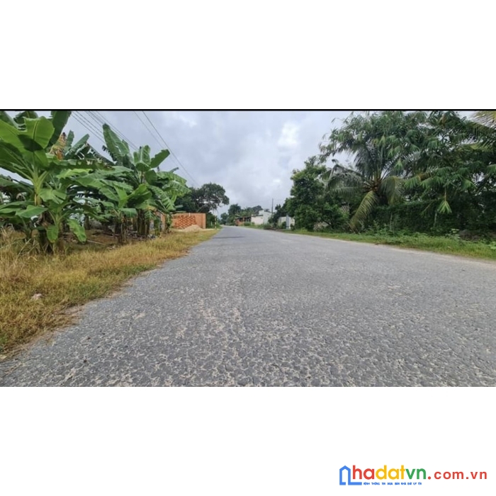 Bán đất nền gò dầu gần khu công nghiệp thạnh đức.