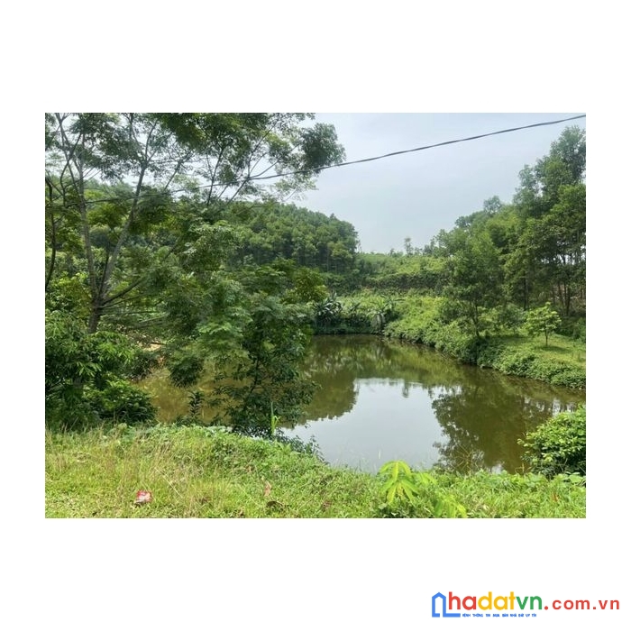 Siêu phẩm đất nghỉ dưỡng, siêu đẹp, có nhà, có ao, có đồi, siêu rẻ nhất khu vực...