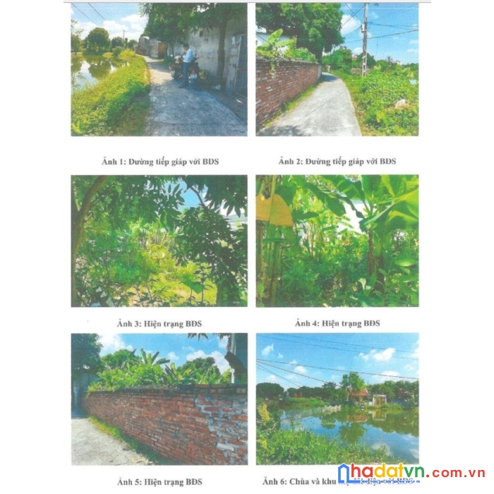 Bán đấu giá bđs tại tứ minh hải dương