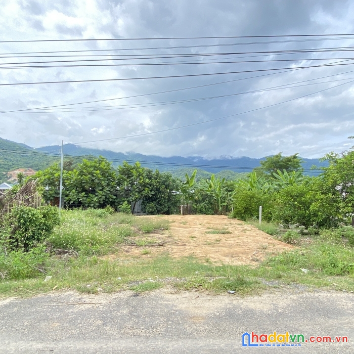 Bán đất diên tân mặt tiền hương lộ 62 cách tiện ích chỉ 700m