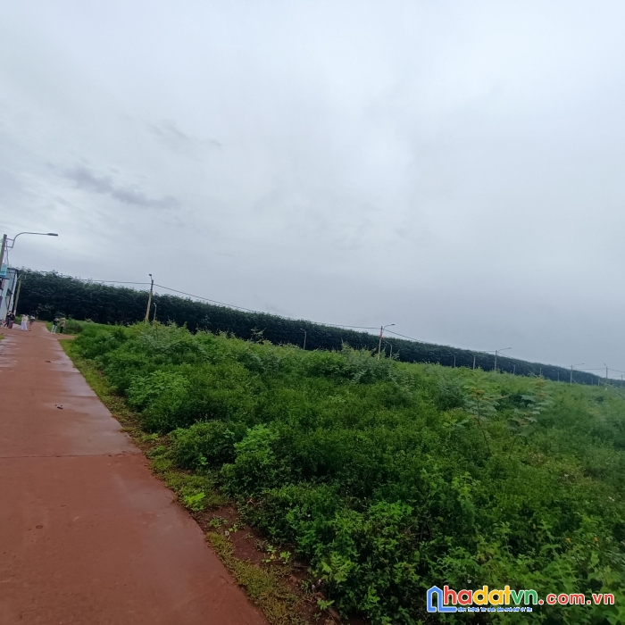 Có 2 lô cần bán ngay chợ phú lộc trung tâm hành chính krông năng 