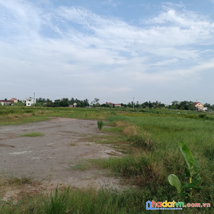 Mở bán lô đất lão phong tân phong kiến thụy làm nhà vườn