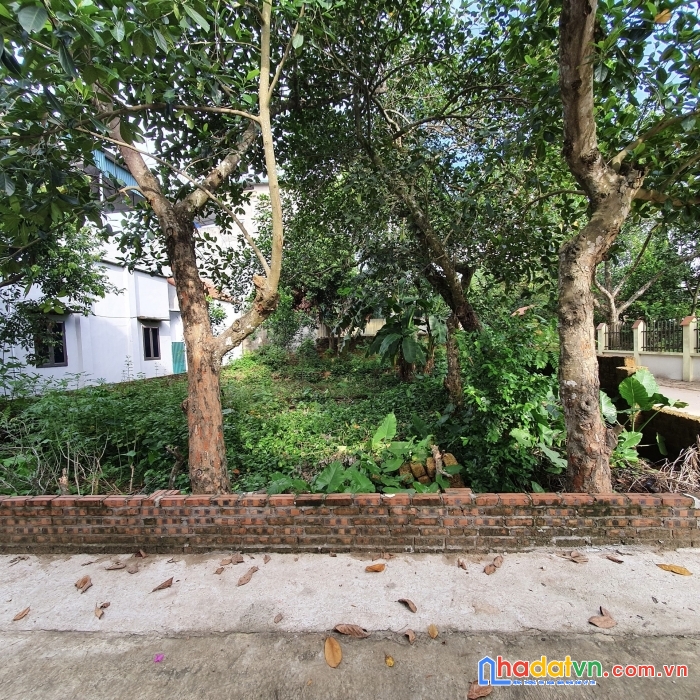 Bán đất sát khu công nghệ cao hoà lạc 72m2 5m full thổ cư tiền ô tô qua 1.35 tỷ