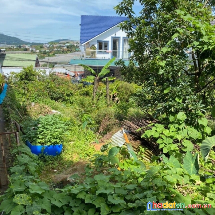 Cần tiền bán gấp đất nền biệt thự đường đường cao thắng, đà lạt 249m2 giá 8.5 tỷ