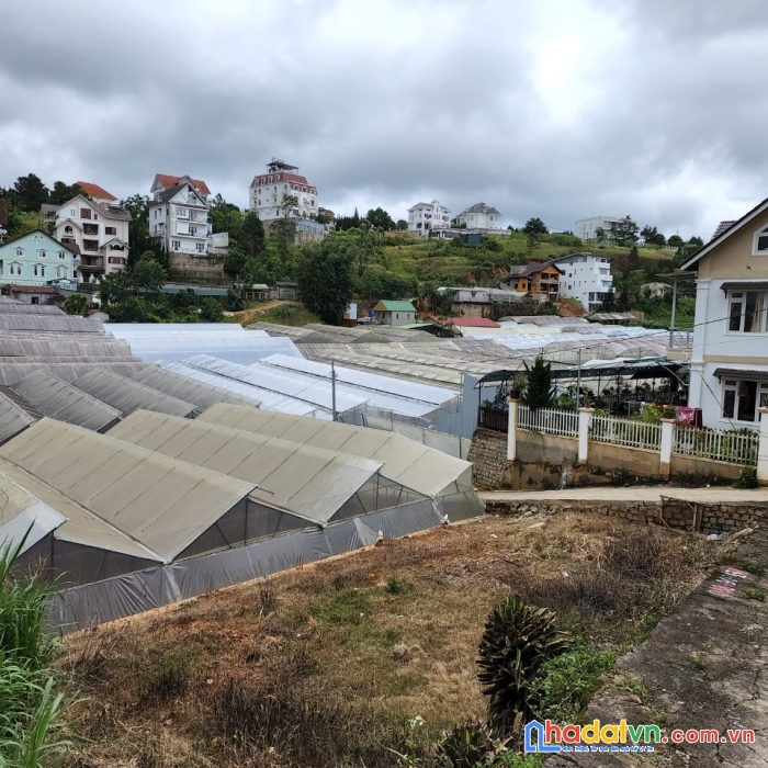 Bán đất nền biệt thự view thoáng đường nguyễn hữu cảnh, đà lạt 243m2 giá 9.7 tỷ