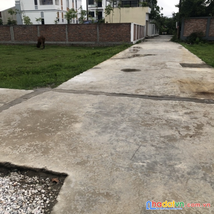Chính chủ cần bán lô đất ở thôn cách hạ - xã nam sơn - huyện an dương - thành phố hải phòng