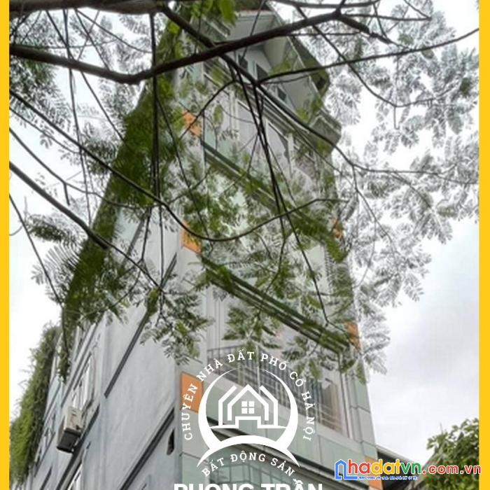 Bán nhà mặt phố đường thành, hoàn kiếm 97m2, kinh doanh, giá chỉ: 63 tỷ