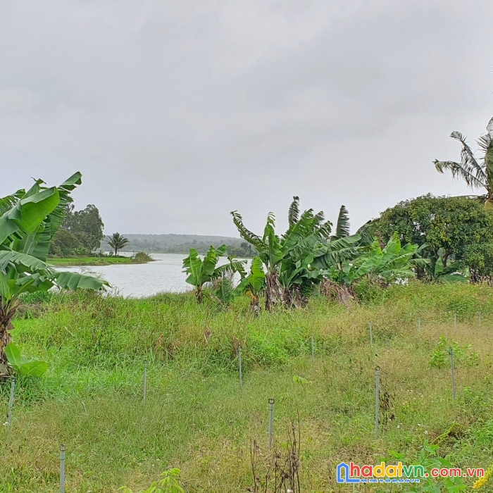 Hot hot  còn duy nhất một lô hấp dẫn tại đaklak