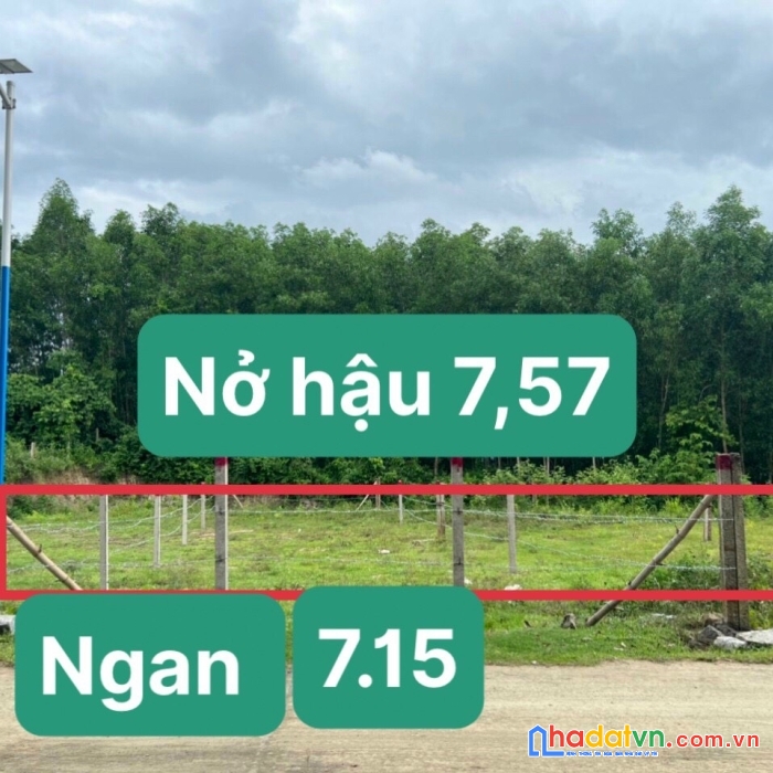 Chính chủ cần bán đất tại thôn khánh xuân, xã diên lâm, huyện diên khánh, tỉnh khánh hoà