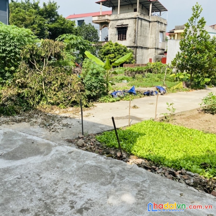 Cọc là lãi ngay lô góc, tại hoàn sơn - tiên du, cách nhà hàng vườn xưa chỉ 3 bươc chân