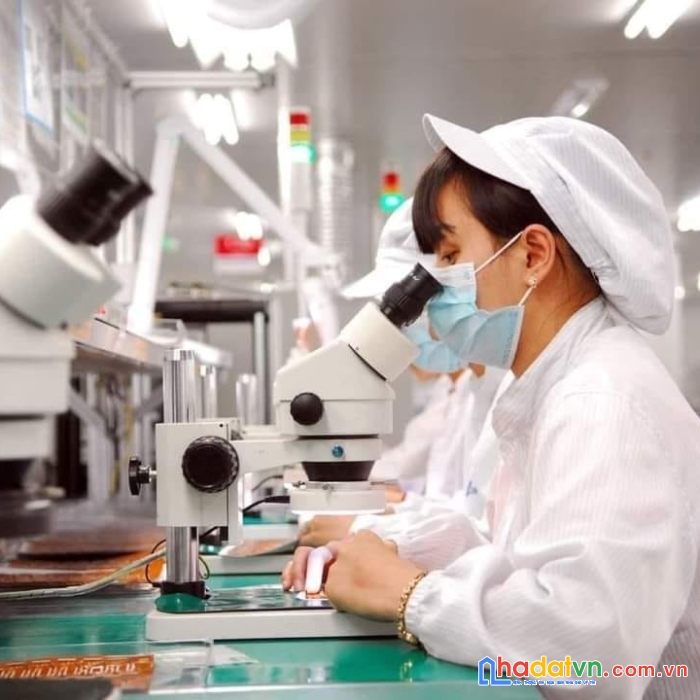 Công ty synopex (đông thọ -yên phong - bắc ninh) cần tuyển đi làm luôn ( nữ )