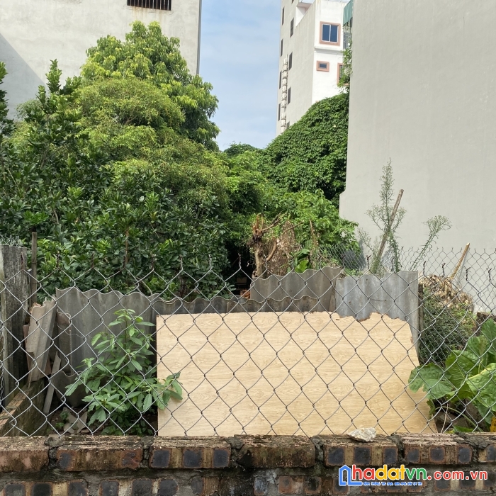 Chỉ 3xtr/m có ngay 60.4m2 thôn thái bình-mai lâm-đông anh-hà nội. đường ngõ thông thoáng