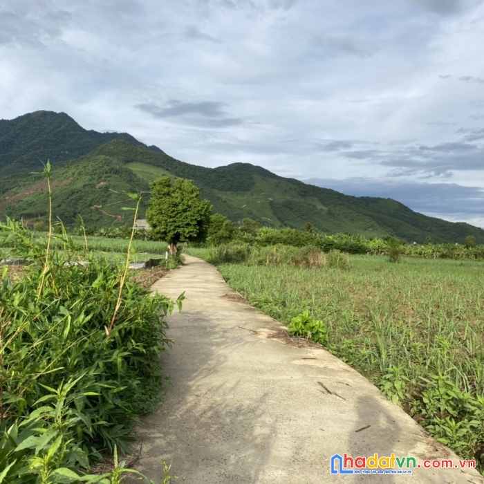 Sở hữu ngay lô đất vườn đẹp tại xã hòa bắc, huyện hòa vang, tp đà nẵng