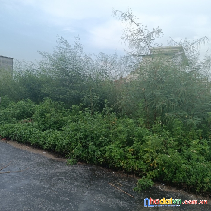 Mở bán  lô tdc minh tân kiến thụy hp giá cắt lỗ