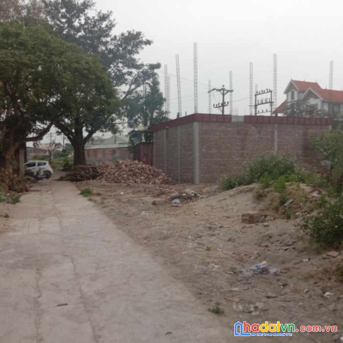 Cần mua đất đầu tư