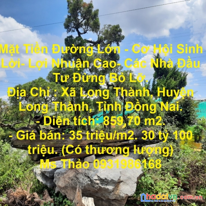 Mặt tiền đường lớn - cơ hội sinh lời- lợi nhuận cao- các nhà đầu tư đừng bỏ lỡ.