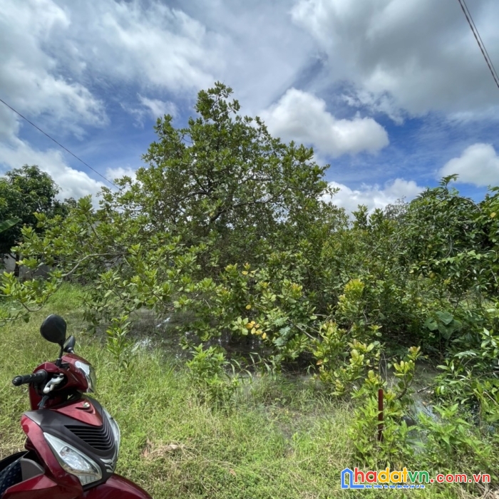 Bán đất vị trí đẹp tại đồng nai