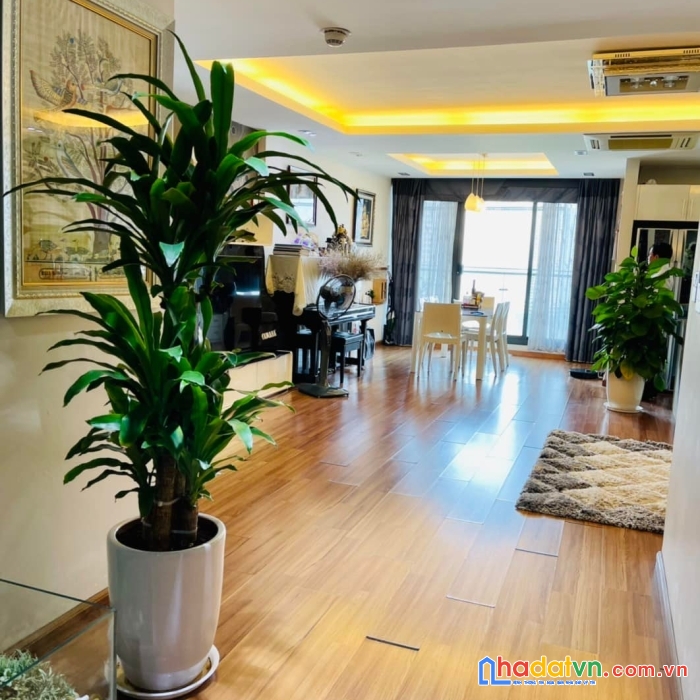 Chung cư cao cấp viu hồ tặng nội thất sang trọng nhập ngoại toà tsq - kđt mỗ lao hà đông 195m 4
