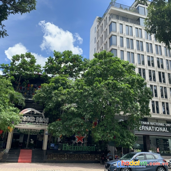 Chính chủ ra gấp nhà hàng pasture 250 tỷ quận 3 hcm