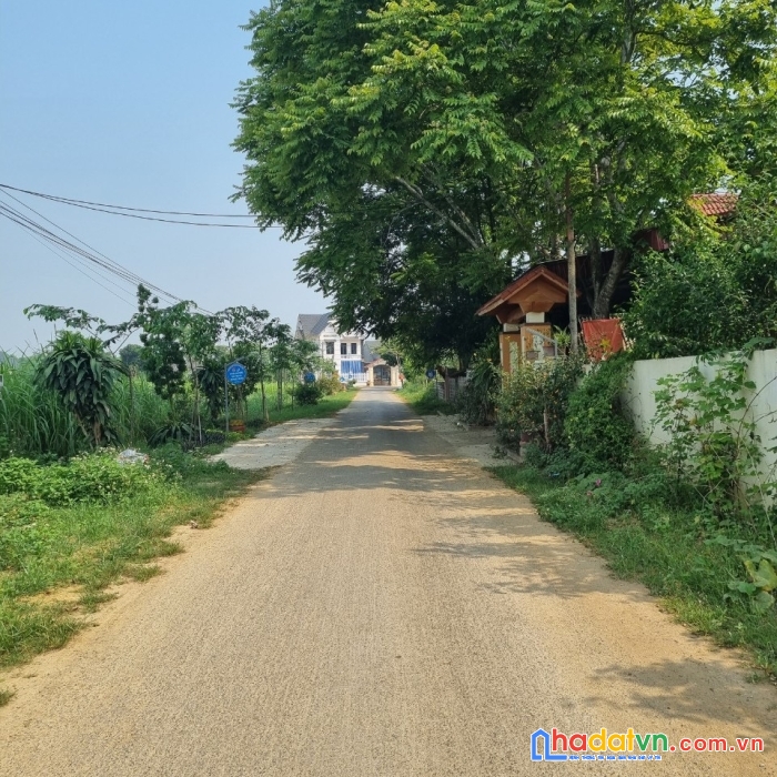 Chính chủ bán gấp lô đất mặt tiền đường lớn tại thị trấn sao vàng thọ xuân thanh hóa