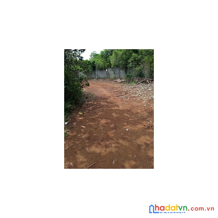 Cần bán lô đất đẹp tại ấp hưng phát , xã tân hưng , huyện hớn quản , tỉnh bình phước