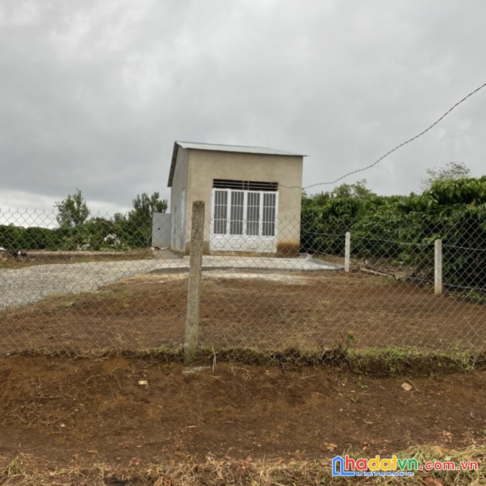 Chủ cần bán lô đất tân lâm - di linh – lâm đồng .