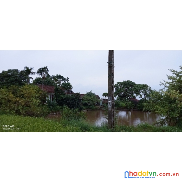 Chủ cần bán gấp nhà đất có vườn cây ao cá tại nghĩa hùng nghĩa hưng nam định