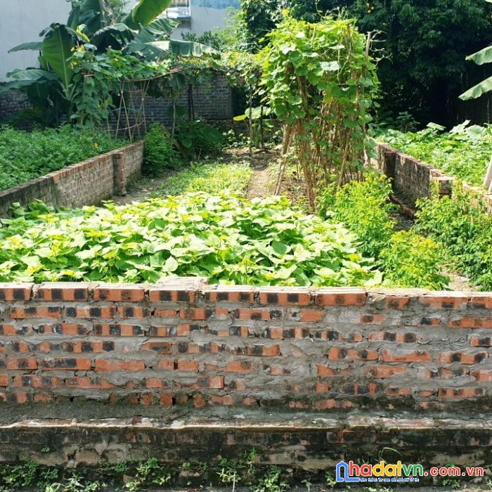 Nhỉnh 2 tỷ có ngay 62m cổ dương-tiên dương đường thông 4m ô tô đỗ cửa