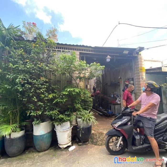 Hxh hương lộ 2, diện tích khủng 5.5 x 25m, thông tứ tung – giá chỉ 5,6 tỷ