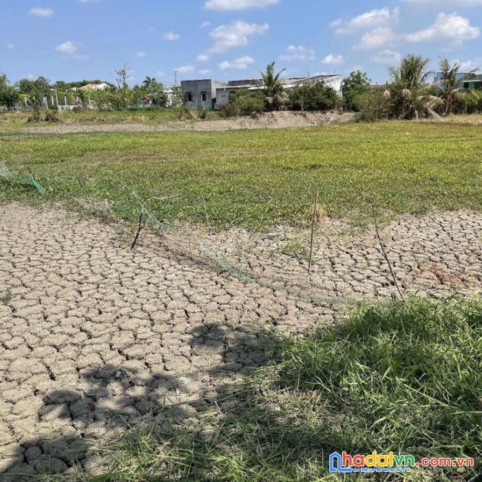 Chính chủ cần bán đất nông nghiệp lên thổ được 100%