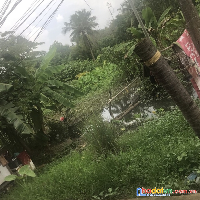 Chính chủ cần bán đất để đi mỹ - đất mặt tiền đường lớn - lợi nhuận cao- các nhà đầu tư đừng bỏ lỡ.