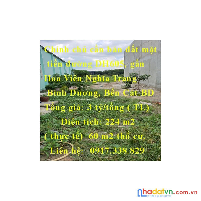 Chính chủ cần bán đất mặt tiền đường dh605, gần hoa viên nghĩa trang bình dương, bến cát