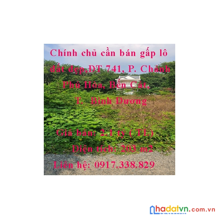 Chính chủ cần bán gấp lô đất đẹp,đt 741, phường chánh phú hòa, bến cát, bình dương