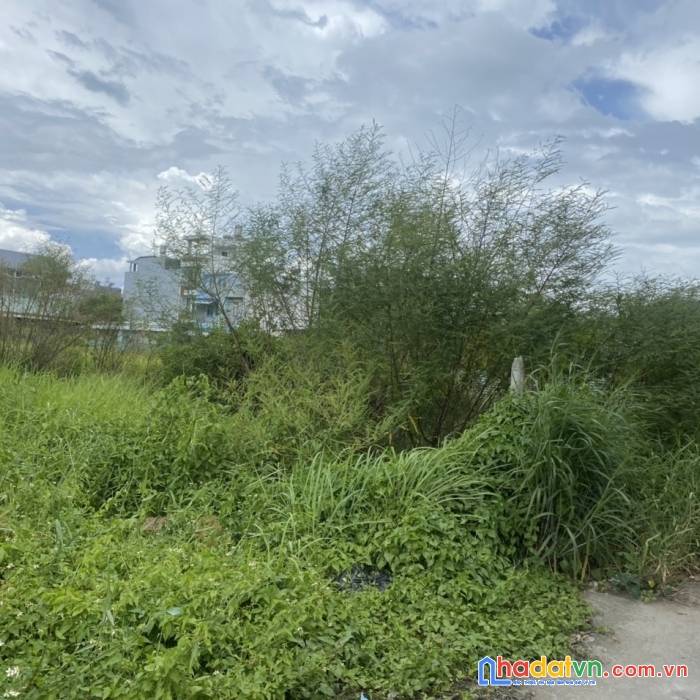 Dt khủng 2900m2 mt vườn lài, view sông sài gòn giá 75.6 tỷ