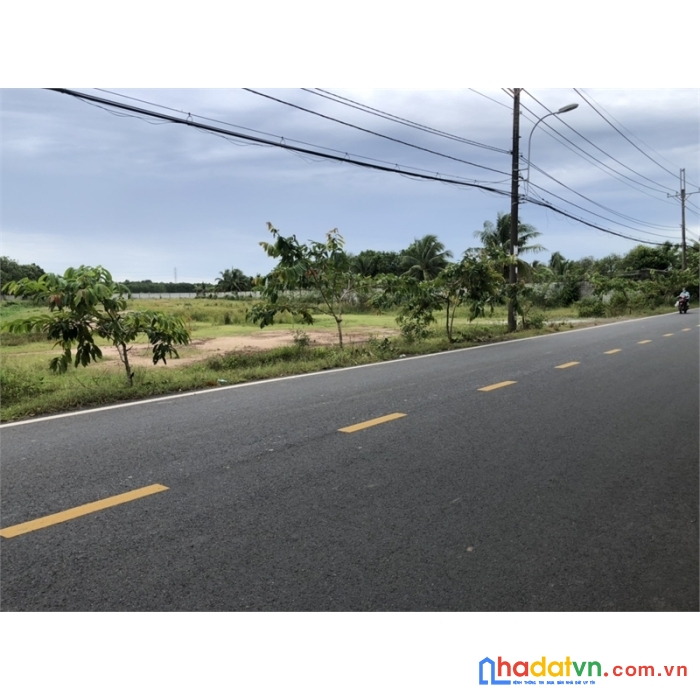 Khám phá bí mật 8.500m2 đất mặt tiền đường bà thiên nhuận đức củ chi