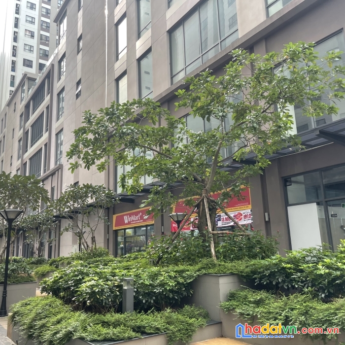 Bán nhà 1trệt 1lâu 181,324 lý thường kiệt,2225 pth