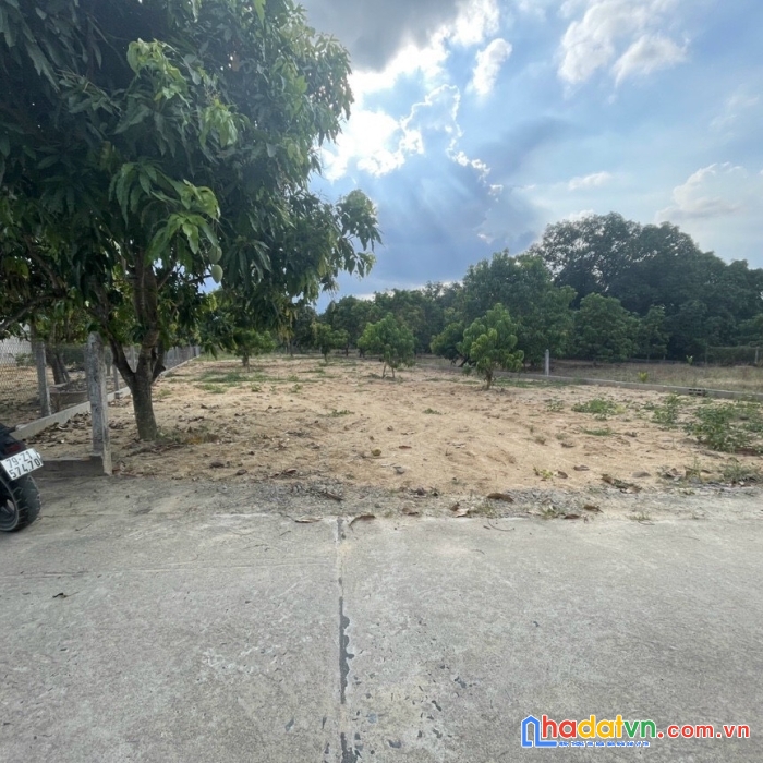 Cần bán lô đất cam hiệp bắc- cam lâm, mt16m dài 63 có thổ cư