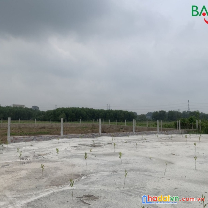 Bán 4 sào đất đang trồng bưởi ngay hương lộ 15 thạnh phú vĩnh cửu đường xe tải