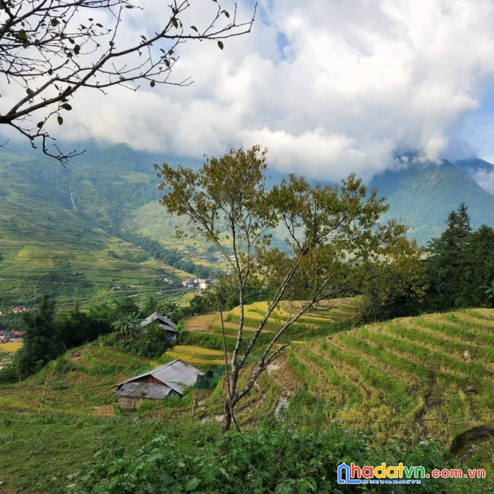 Tả van mông- sapa- đón sóng quy hoạch phát triển cơ sở hạ tằng tại sapa