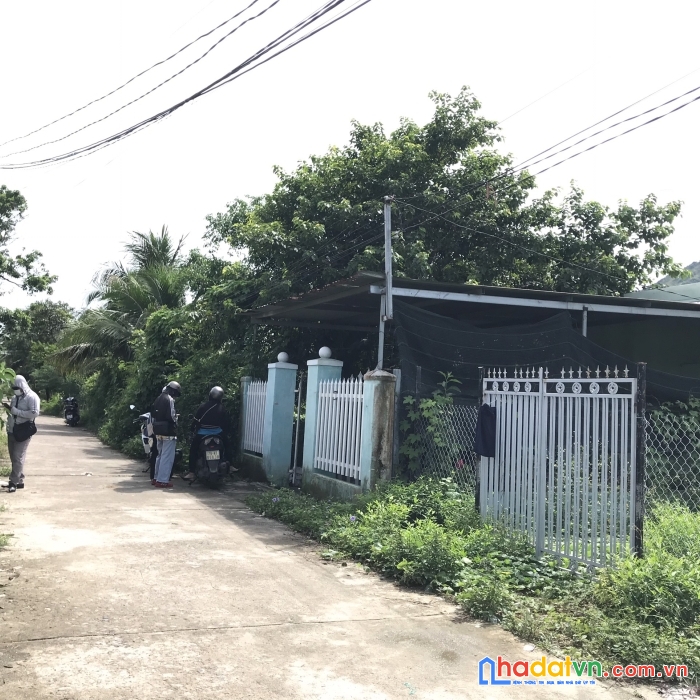 Diên an diên khánh 131m2 có 80 m thổ