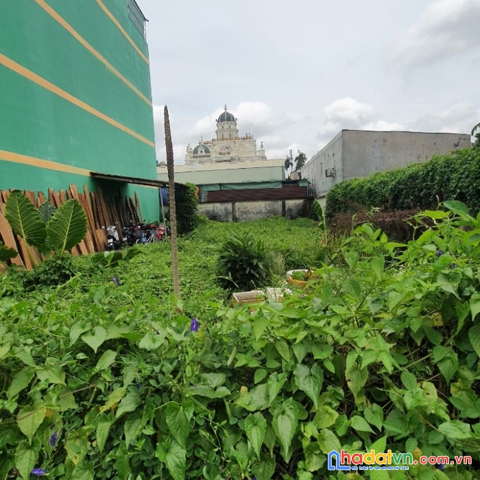 Đất mặt tiền thạnh lộc 15, 12 x 30 giá nhỉnh 12 tỷ